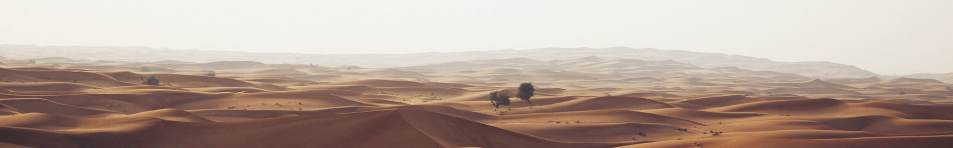 ֣ݽӿƼ޹˾